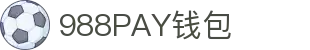 988PAY钱包 - 安全支付工具